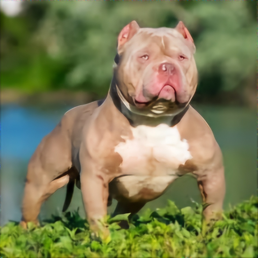 Фото с открытых источников 