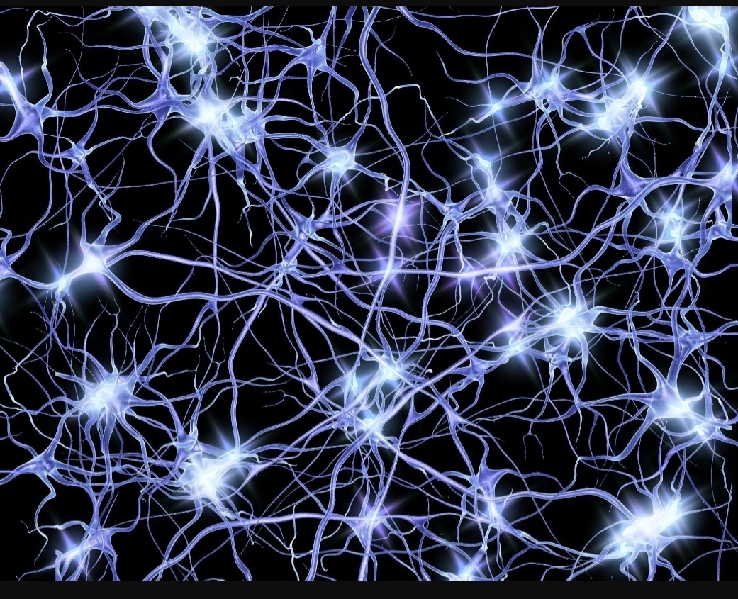Нейронная сеть головного мозга (фото с просторов интернета) 