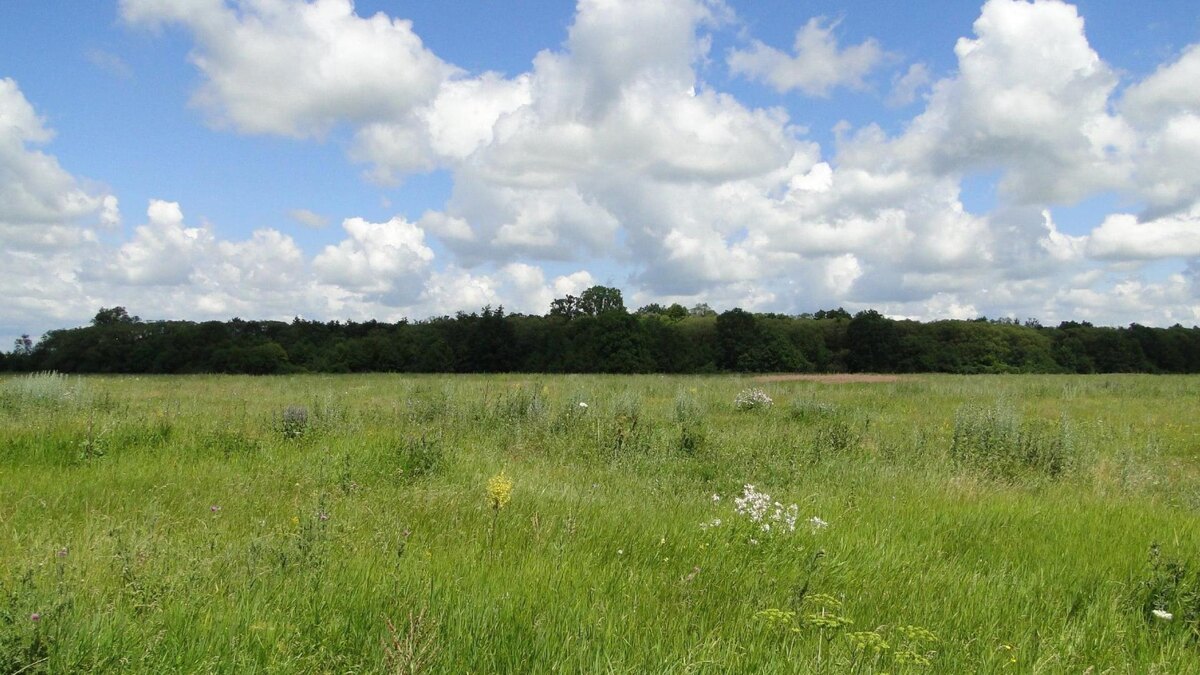    В Курске 19 июня будет солнечно и жарко