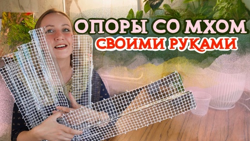 ОПОРЫ со мхом СВОИМИ РУКАМИ 💚 | Пересадка ФИЛОДЕНДРОНА на опору