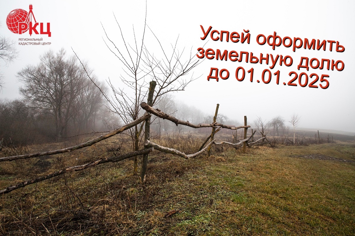 Источник: https://www.freepik.com/free-photo