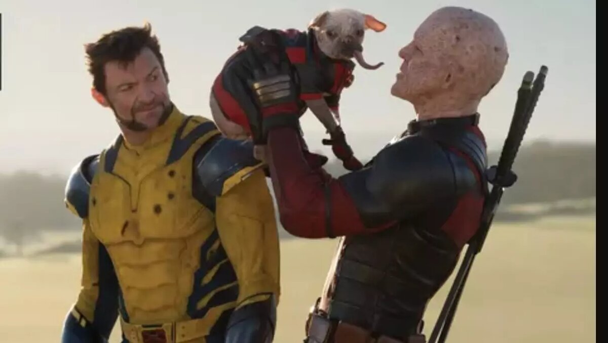     Источник: кадр