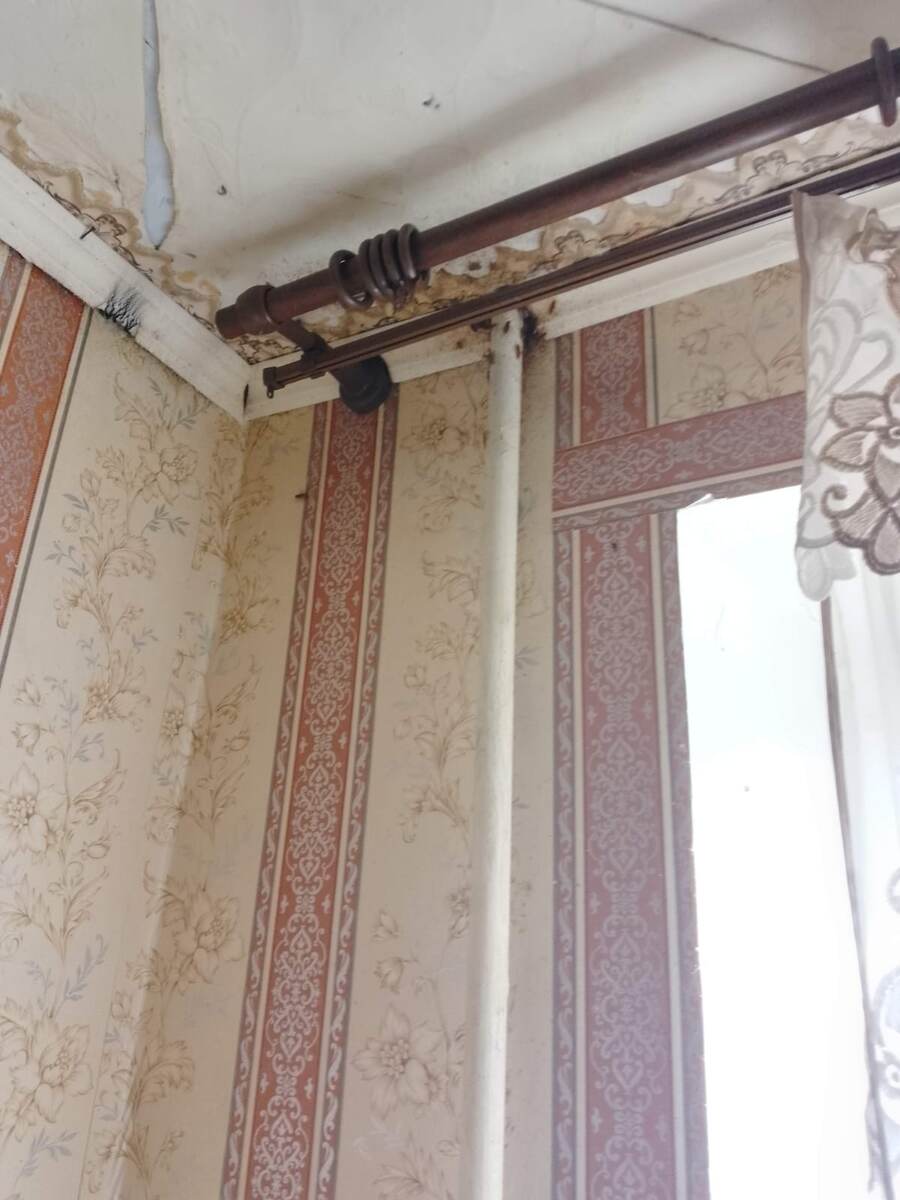 Возле теплой батареи куча