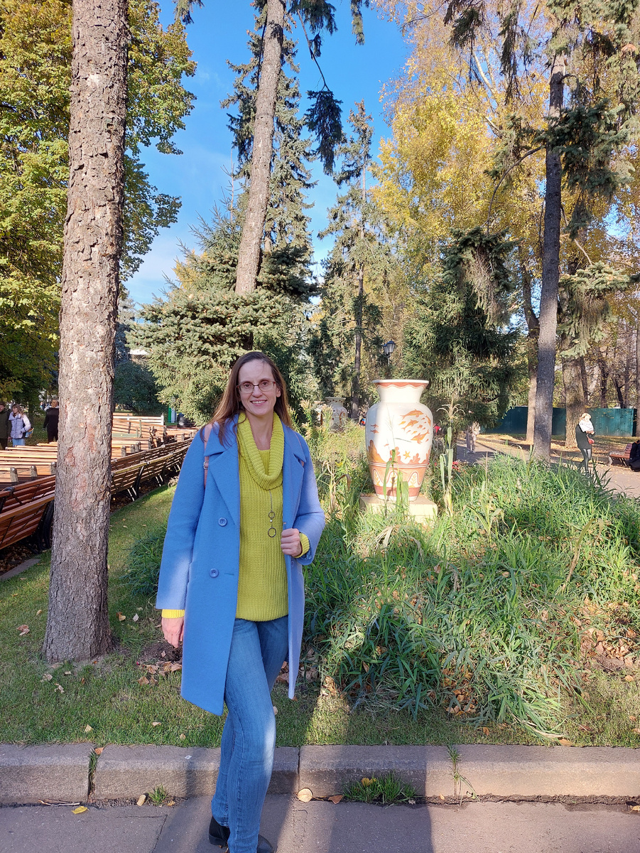 Это, например, лук.