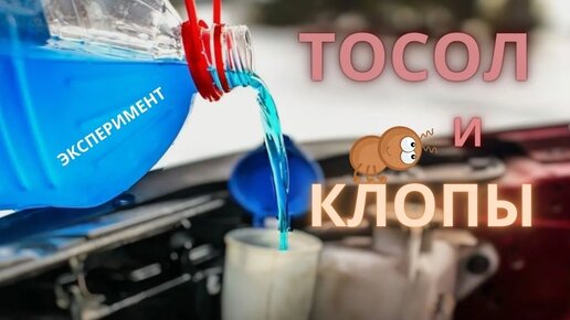 Что ТОСОЛ делает с постельными клопами