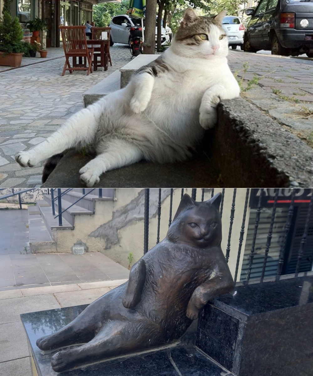 Жил-был кот по имени Томбили. Жил он в Стамбуле, а потому носил довольно распространенную среди турецких котиков кличку, означающую «Пухленький». Жил бы в России, наверное, был бы Барсиком или Пушком.-2