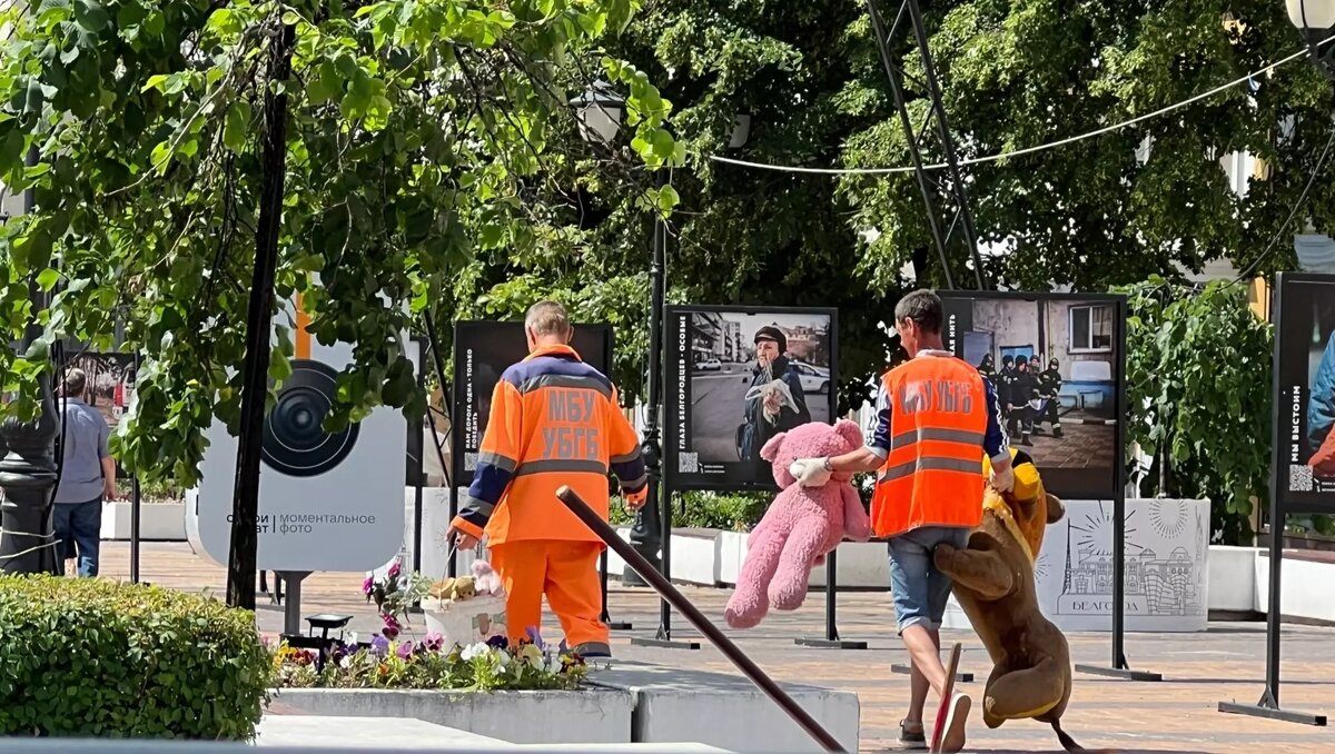 В мэрии Белгорода рассказали, куда уносят старые игрушки со стихийных  мемориалов | Бел.Ру | Дзен