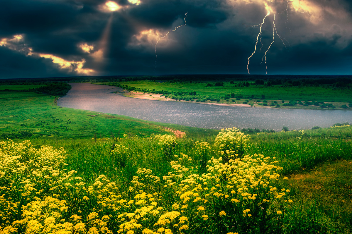    Фото: Sezamnet / Shutterstock.com