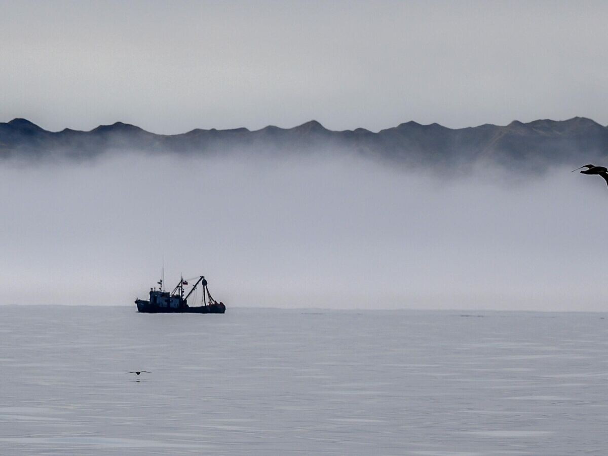    Охотское море© РИА Новости / Сергей Красноухов