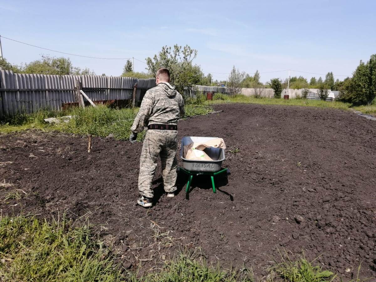 Силы и средства: 2 взрослых и ребёнок, тачка, бочка, грабли, мошка которая подбадривает процесс 🦟🪰🦟🪰