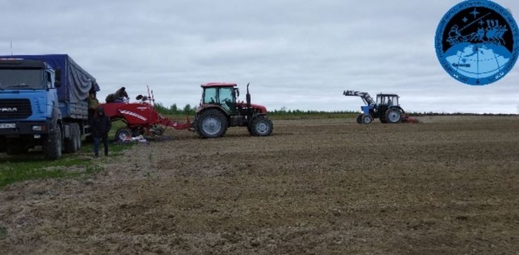    Какие сорта картофеля дают хороший урожай на Ямале