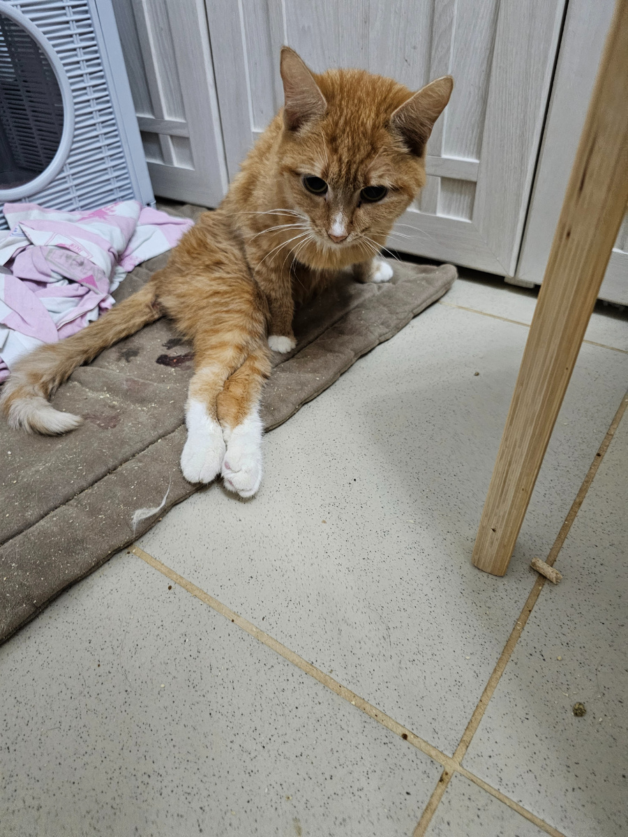 Фото автора. Яше не очень уже.