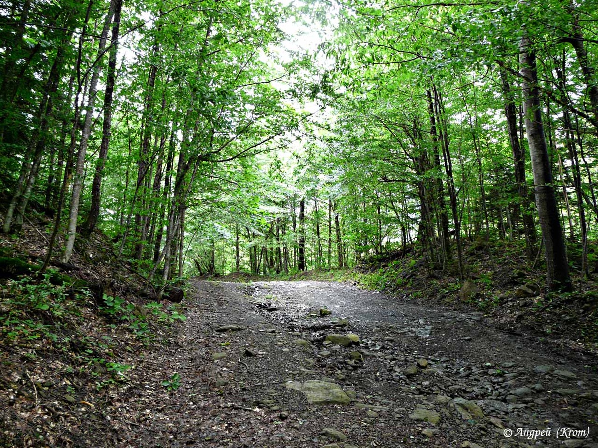 Старая горная дорога