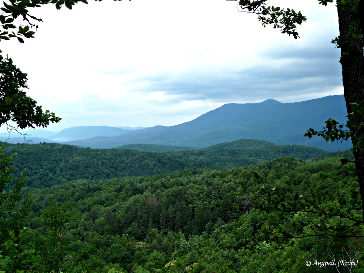 Вид со смотровой площадке
