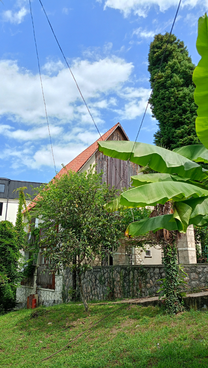 К нему и пошли 