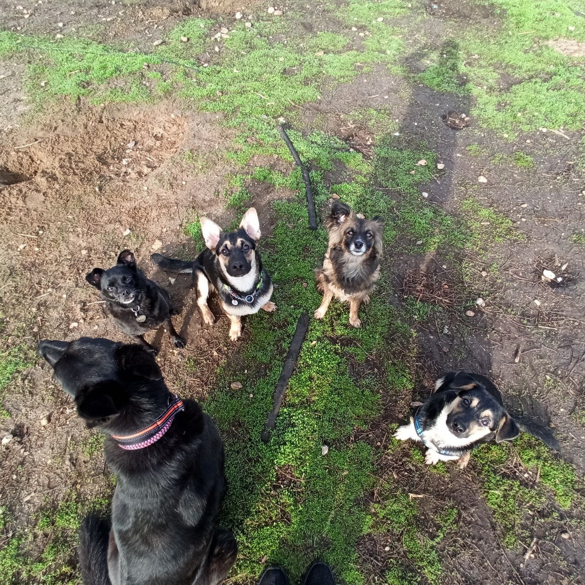 Наша великолепная и немножко чокнутая пятерка