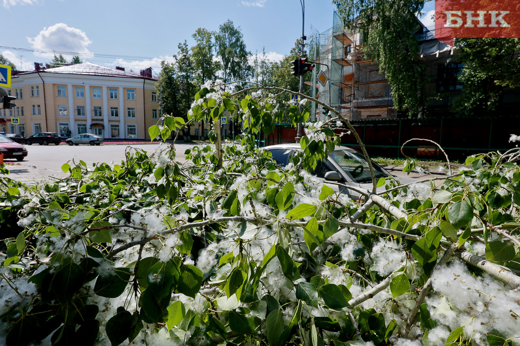 Фото БНК