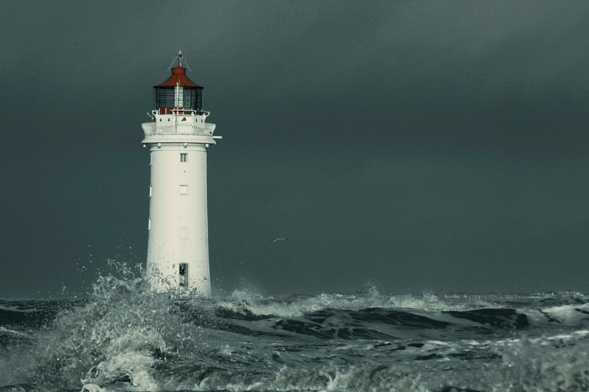 яндекс картинки