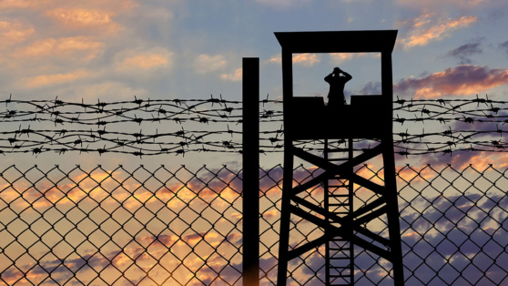    В Польше хотят построить на границе с РФ 19 наблюдательных вышек Татьяна Сидорова