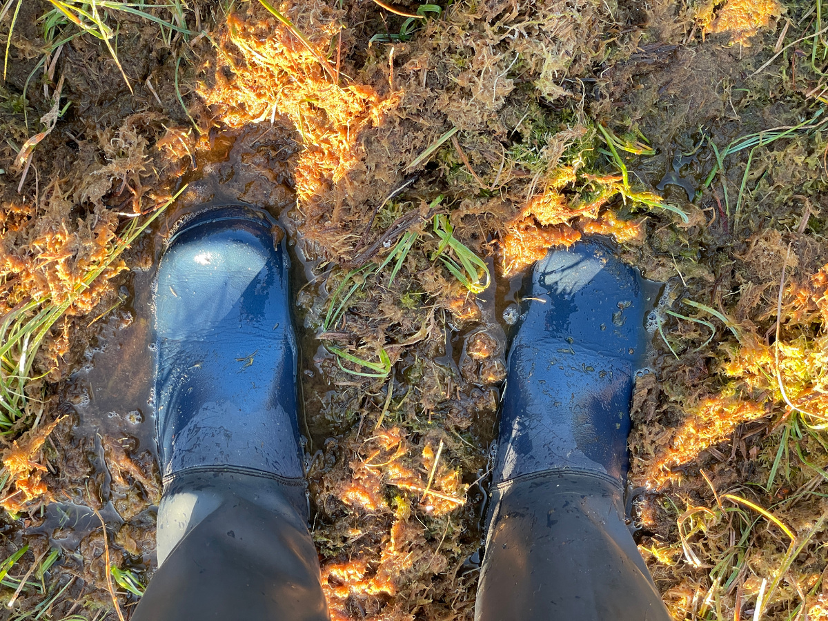 Второе Пятовское озеро