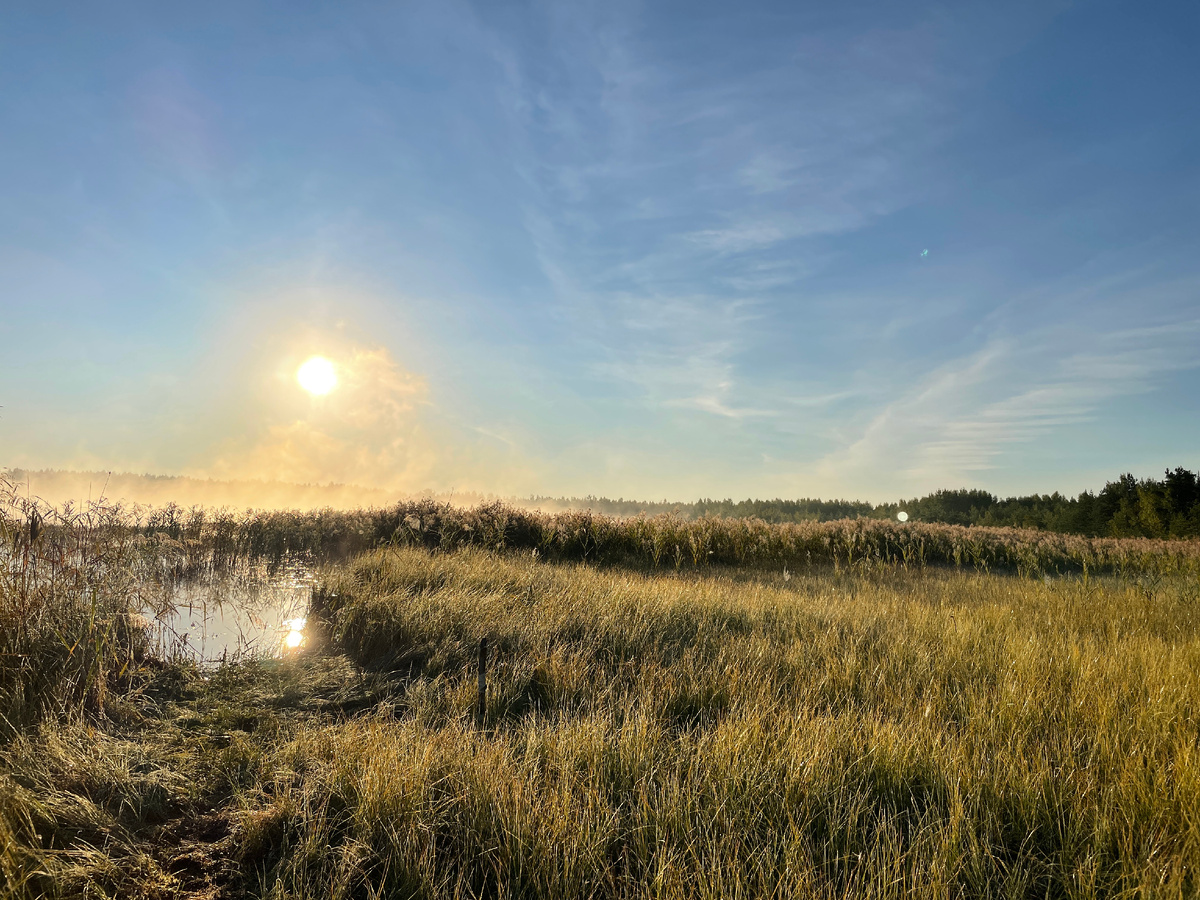 Второе Пятовское озеро