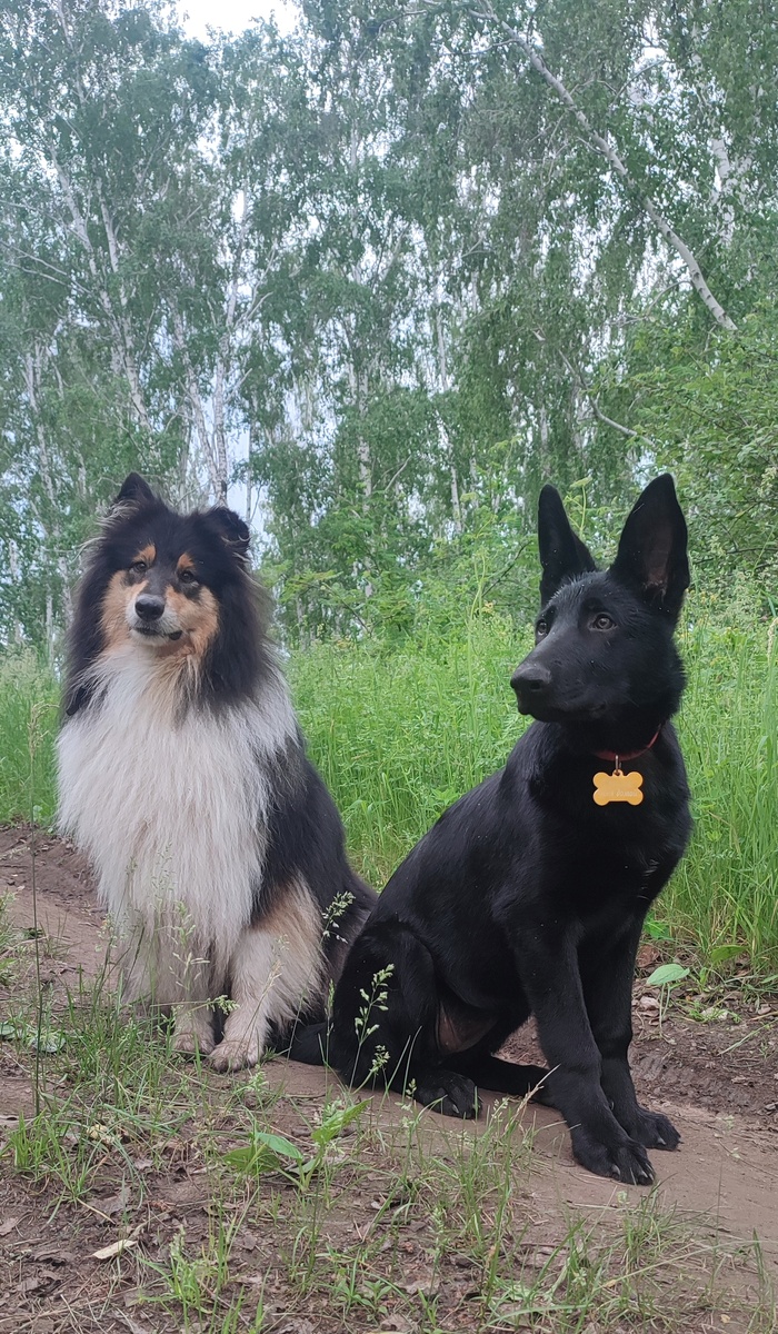 Живанши с Багирой 