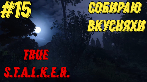 СОБИРАЮ ВКУСНЯХИ l Новичек в TRUE STALKER l Часть 15