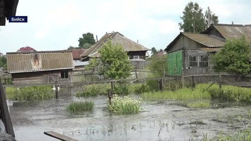 Грунтовые воды заполнили дворы и подвалы домов жителей приречной части Бийска