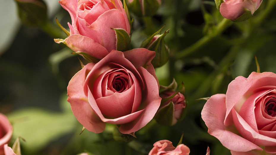     Источник здесь и далее: freepik.com