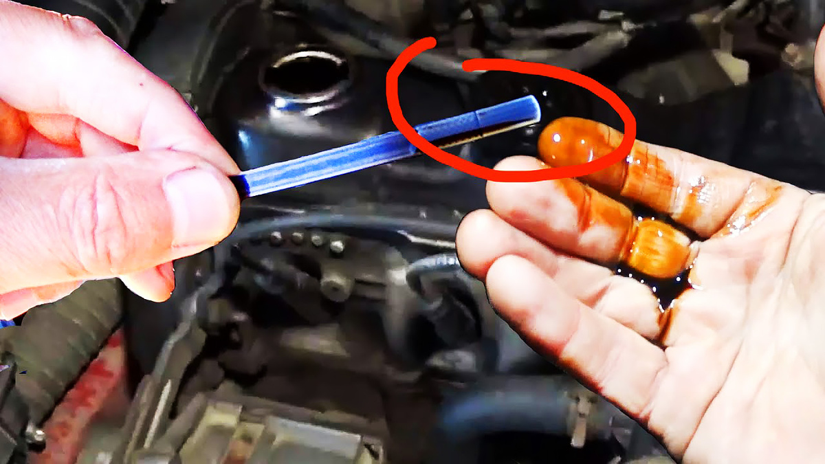 Изображение взято из открытых источников