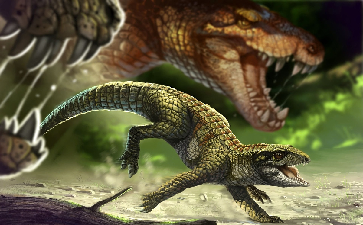 Кайпиразух убегает от двух Баурузухов, позднемеловая Бразилия