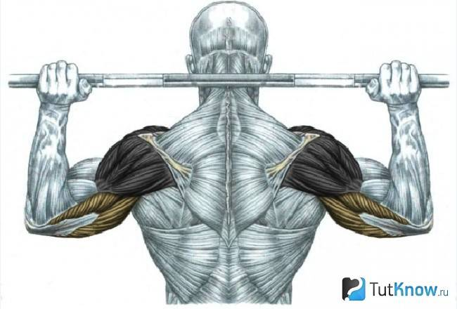 Источник фотографии: Яндекс картинки 
