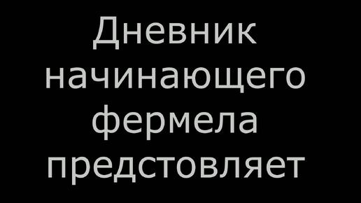 Родник который находится в Чернавке