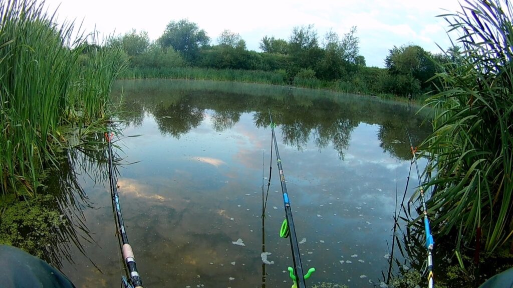 Рыбалка карася в июне на маленьком водоёме.