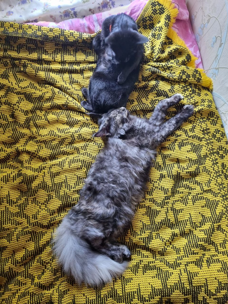 "Ты откуда тут?"