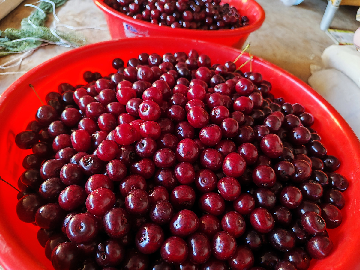 Насобирала) 