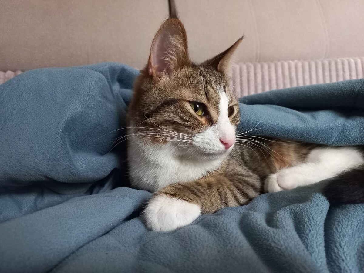 Фото- собственность канала