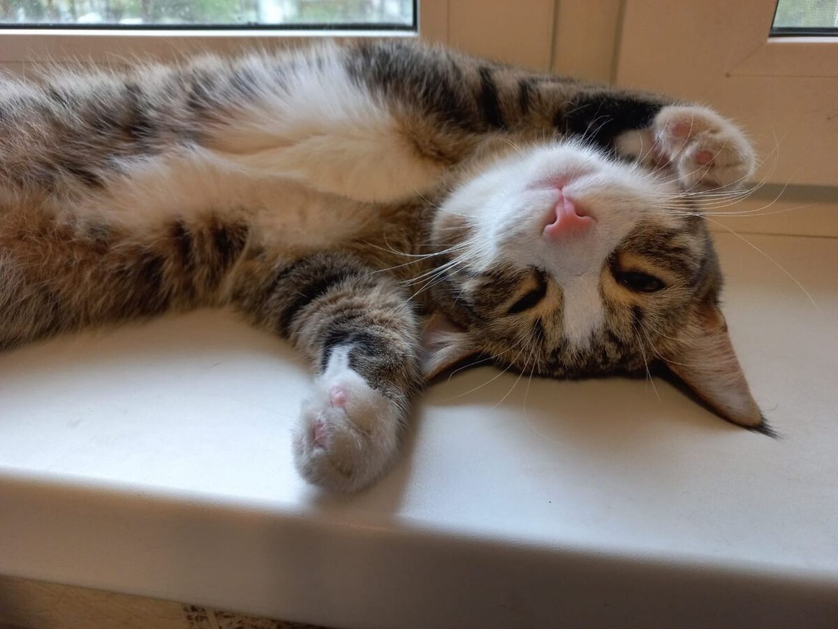 Фото- собственность канала