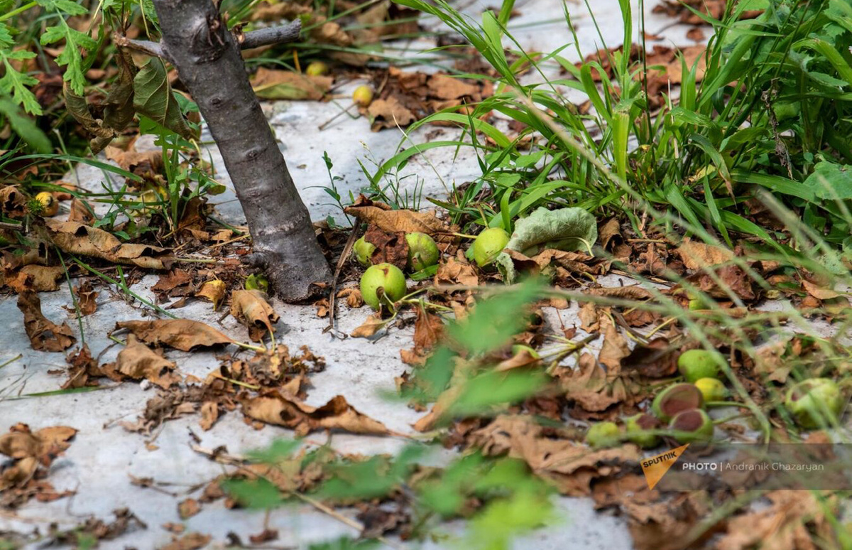 © Sputnik / Andranik Ghazaryan