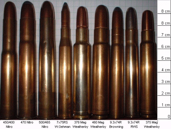 Крайний левый. 450/400 - одно из многих названий. (Фото - общественное достояние)
