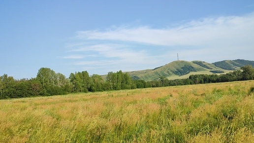 Башкирия в цветах