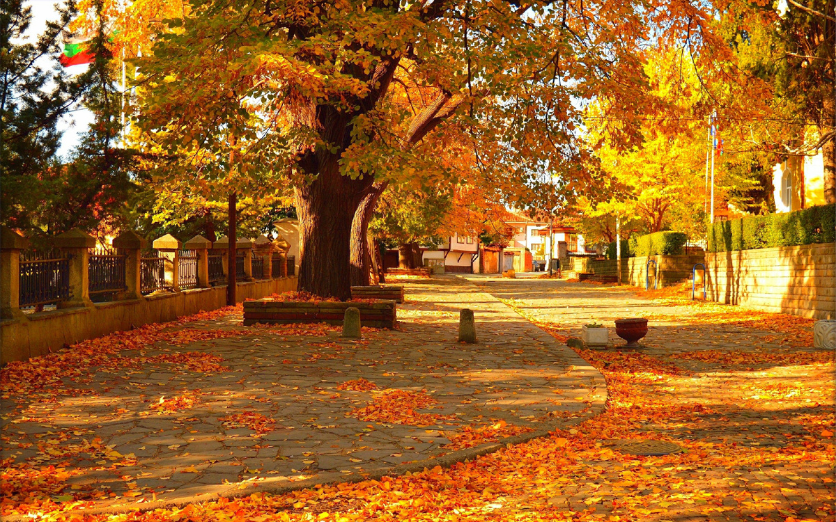 Яндекс-картинки