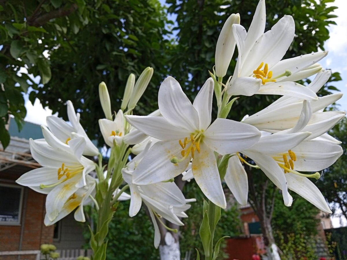 Собственное фото автора от 05 июня 2024 г.