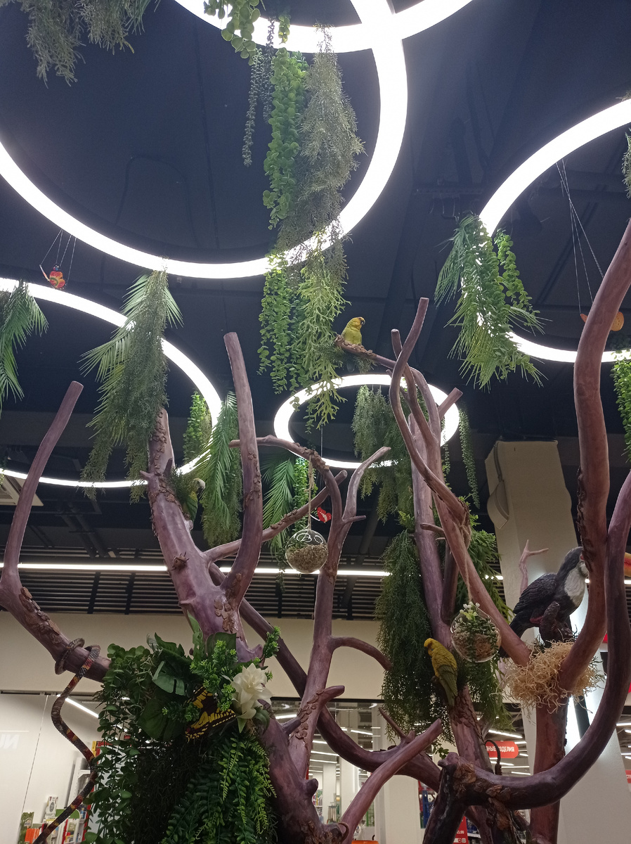 Вот такая икебана в местном торговом центре