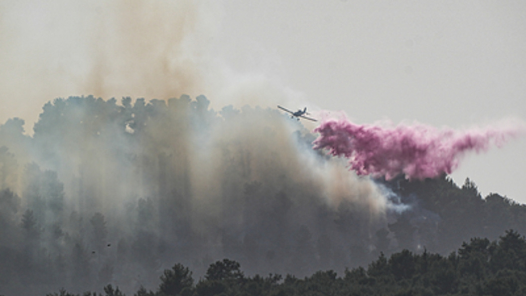    Фото: Ayal Margolin/XinHua/Globallookpress