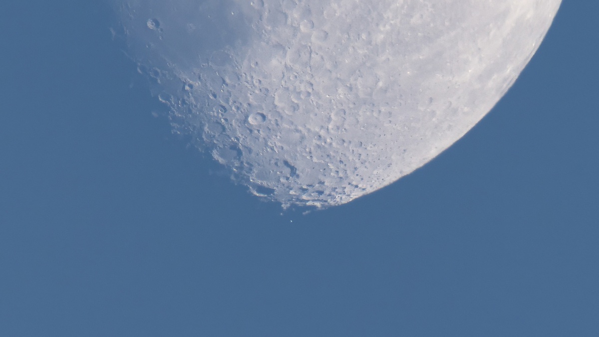Луна и Спика в Санкт-Петербурге 16 июня 2024 года, фото Дмитрия Юдченко