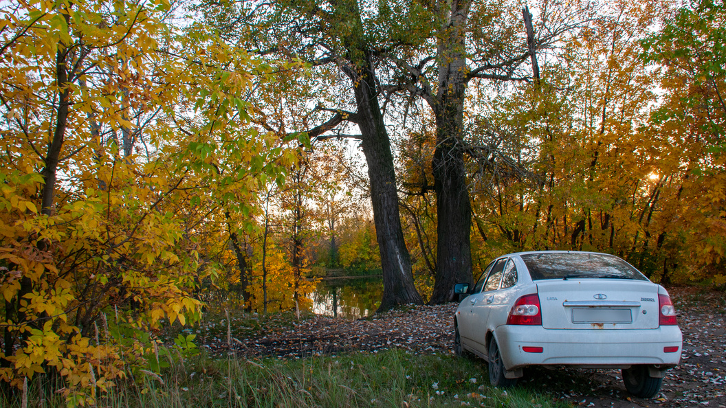    Svetlana Vozmilova/Globallookpress