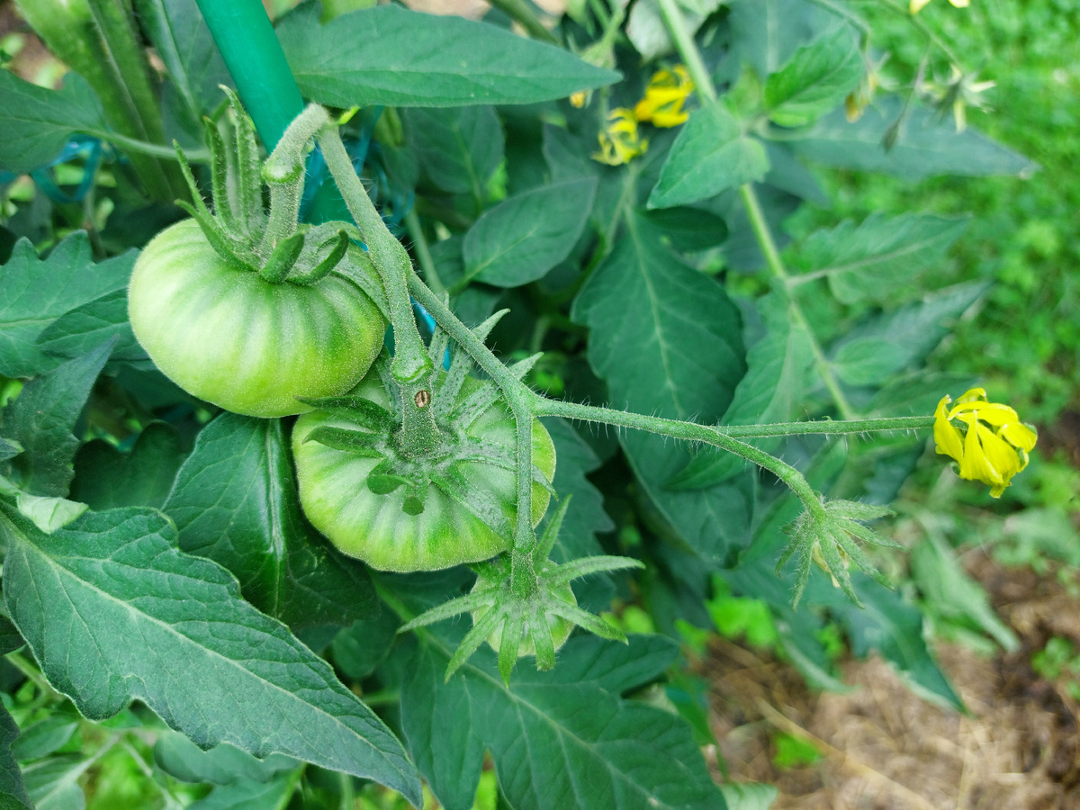 Малахитовая шкатулка