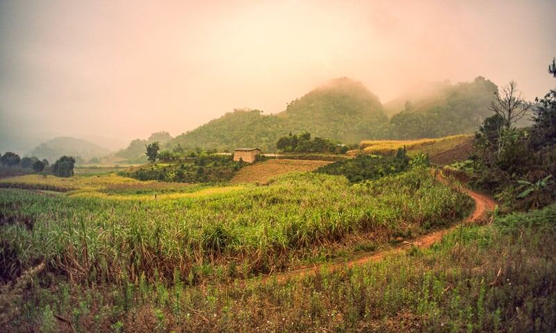 Фото Yunnan Coffee Traders 
