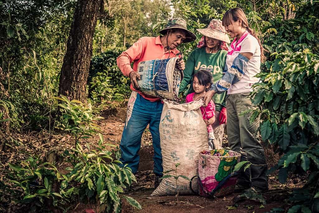 Фото Yunnan Coffee Traders 